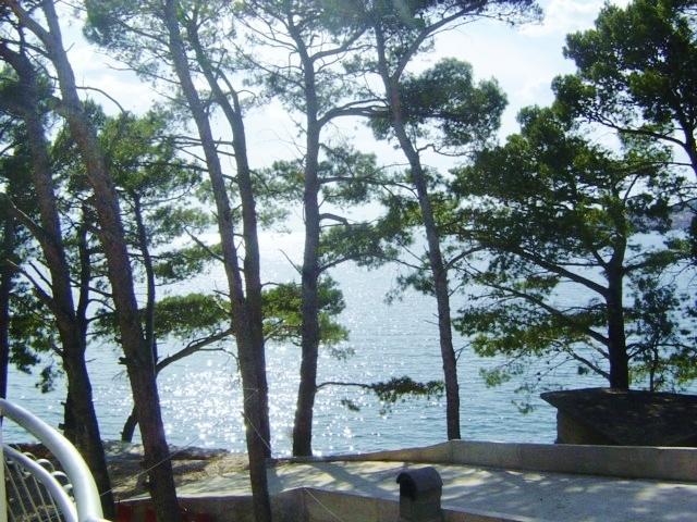 Apartment Jelas ซิโวกอสเชีย ห้อง รูปภาพ