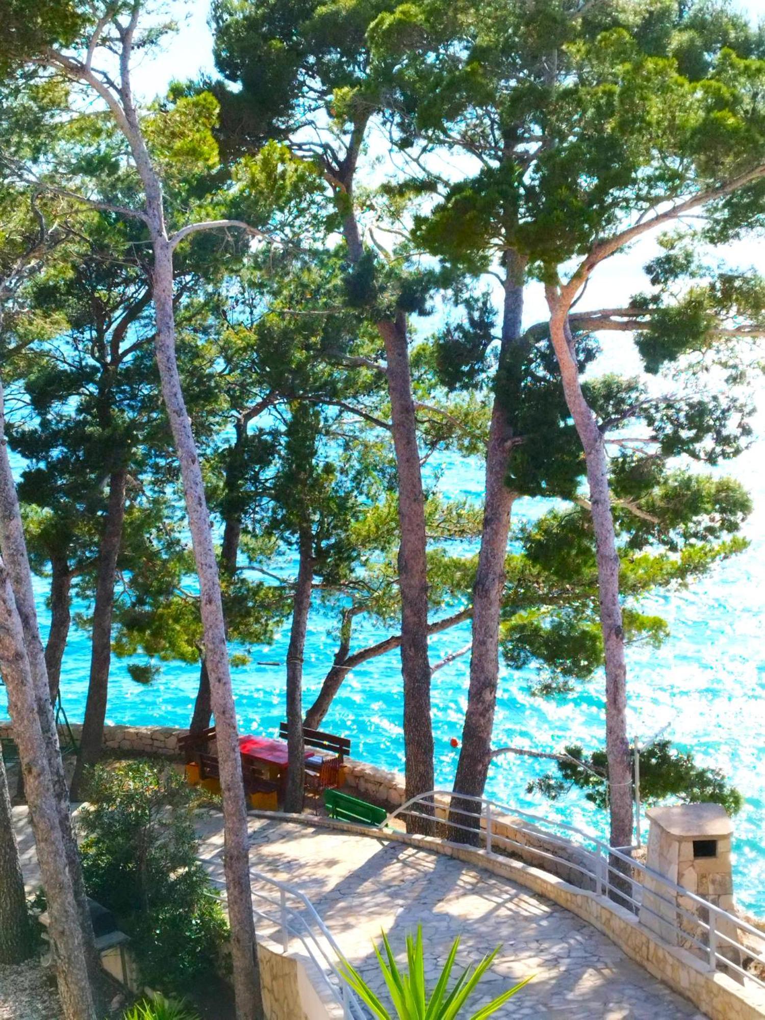 Apartment Jelas ซิโวกอสเชีย ภายนอก รูปภาพ
